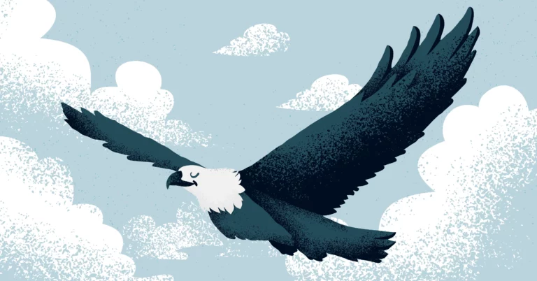 Eagle soaring