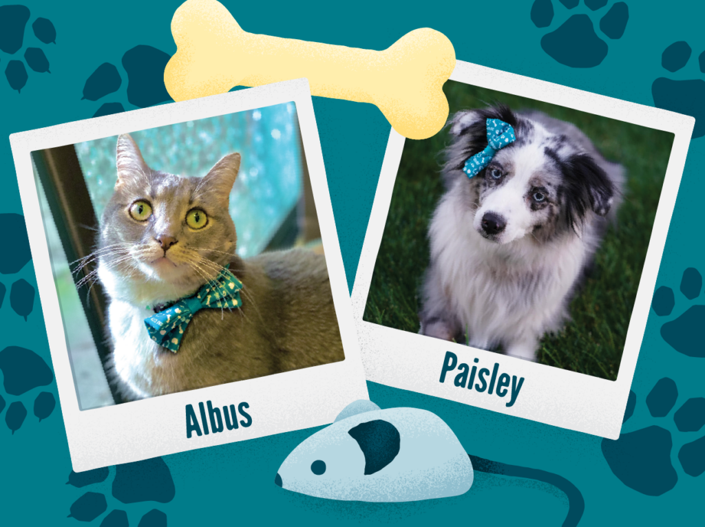 Albus and Paisley Mobile Pet Pawsee pictures