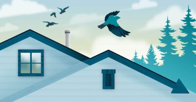 Blue house outside with birds flying