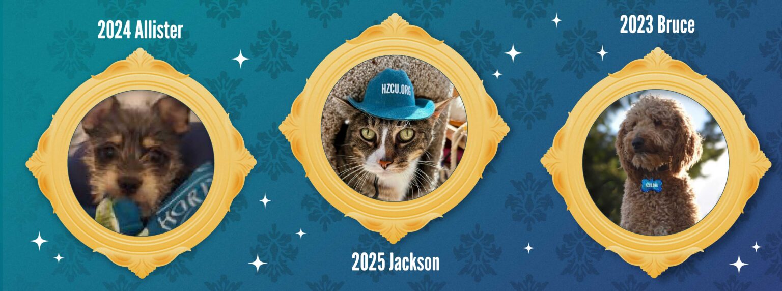 Past Pet Pawsee Winners